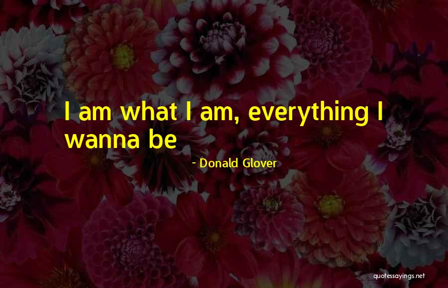 Skyclad Women Quotes By Donald Glover Skyclad Women Quotes By Donald Glover