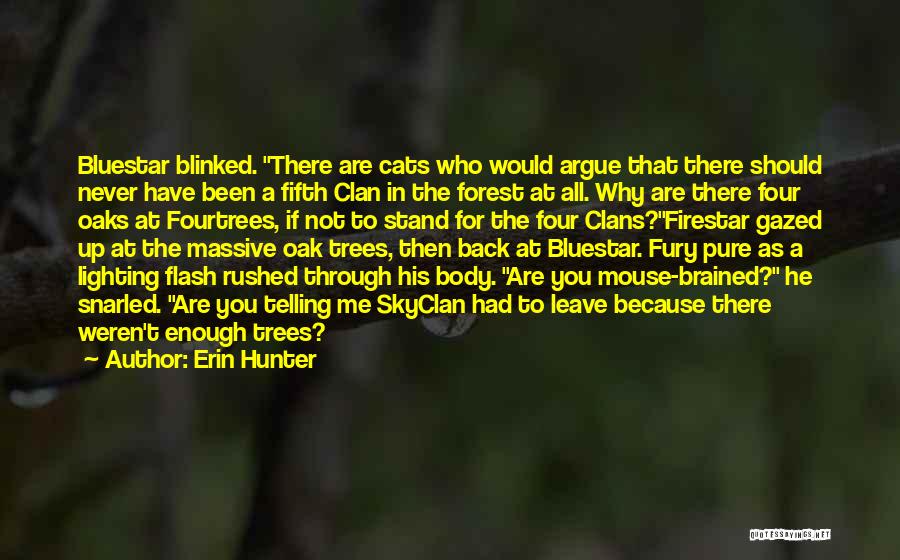 Skyclan Quotes By Erin Hunter