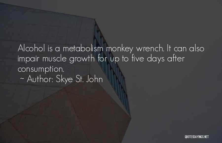 Skye St. John Quotes 648841