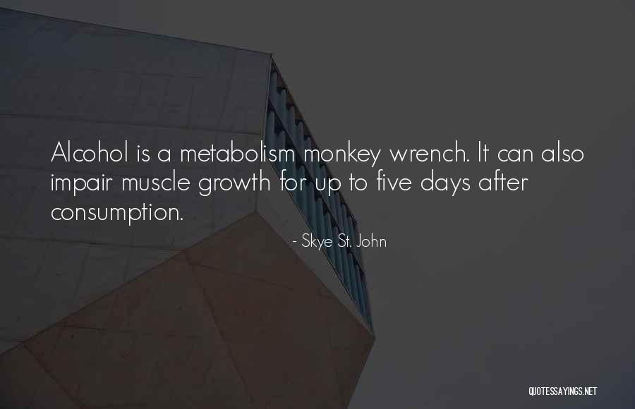 Skye St. John Quotes 648841 Skye St. John Quotes 648841