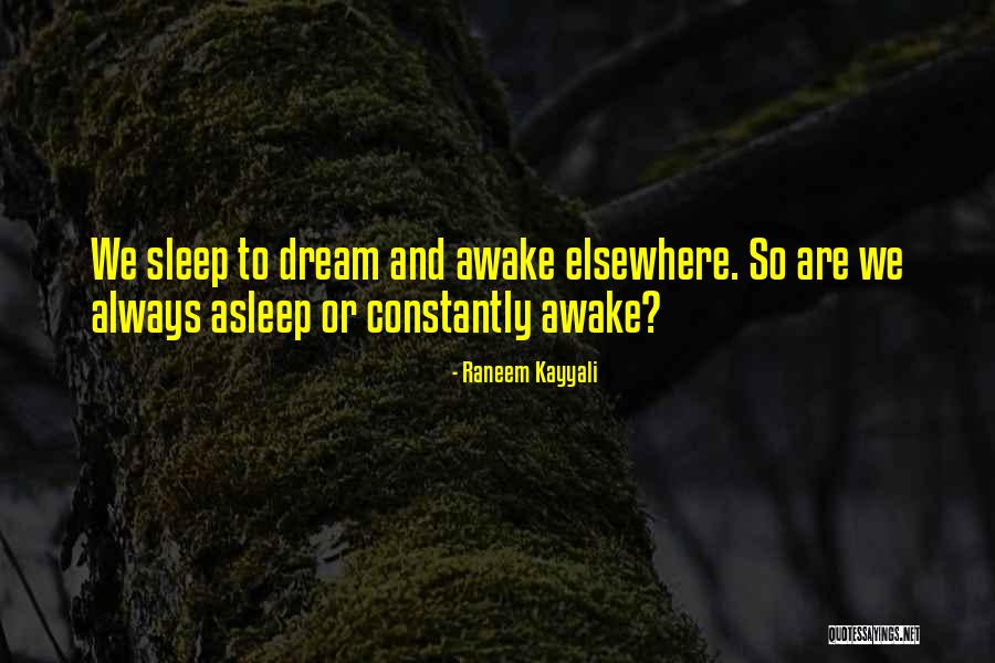 Skyehaven Shelties Quotes By Raneem Kayyali Skyehaven Shelties Quotes By Raneem Kayyali