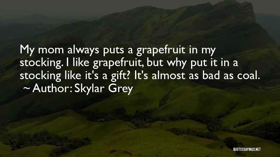 Skylar Grey Quotes 2166604