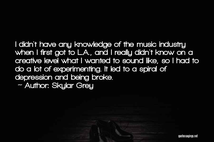 Skylar Grey Quotes 701566