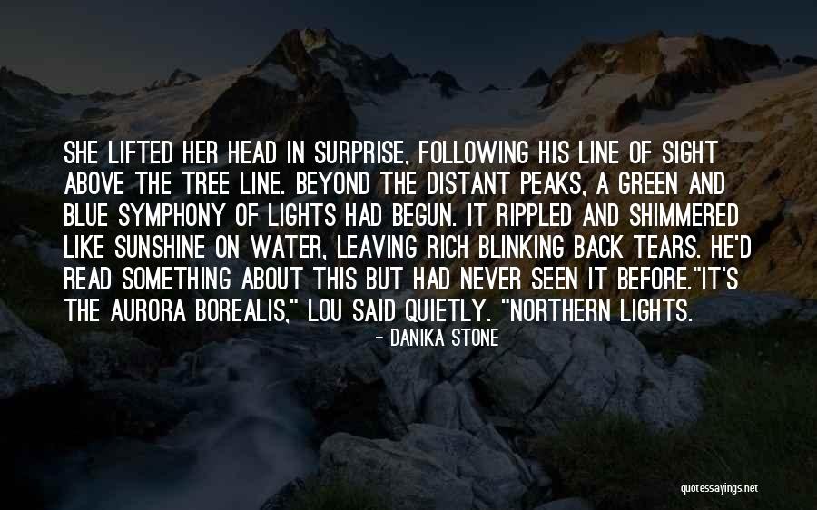 Skylasher Quotes By Danika Stone Skylasher Quotes By Danika Stone