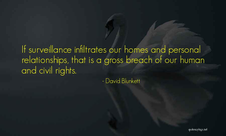 Skylasher Quotes By David Blunkett Skylasher Quotes By David Blunkett