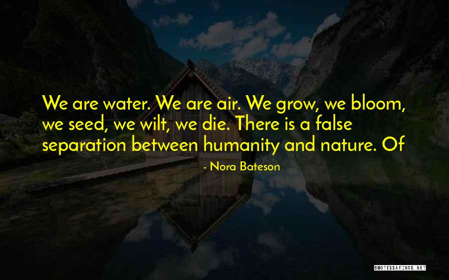 Skyler Neese Quotes By Nora Bateson Skyler Neese Quotes By Nora Bateson