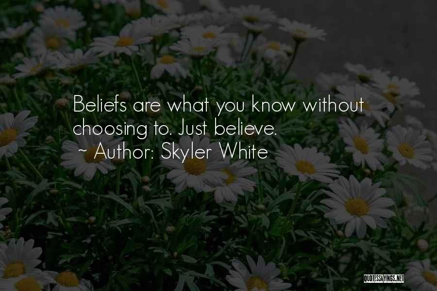 Skyler Quotes By Skyler White