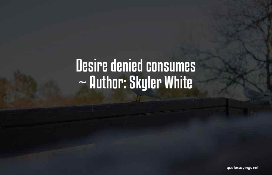 Skyler Quotes By Skyler White