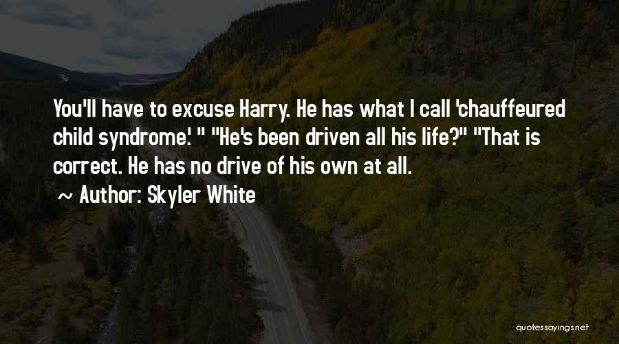 Skyler Quotes By Skyler White