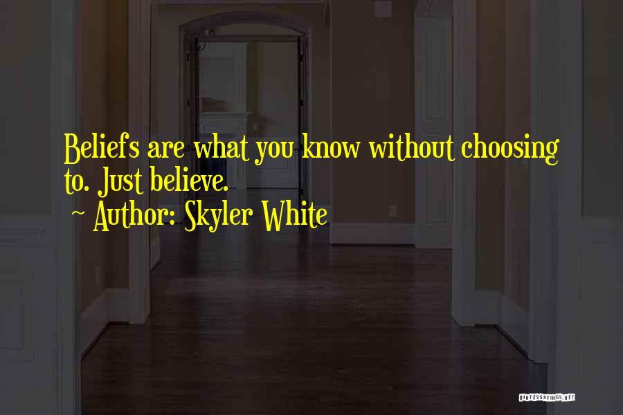 Skyler White Quotes 1165951