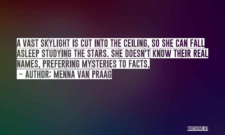 Skylight Quotes By Menna Van Praag