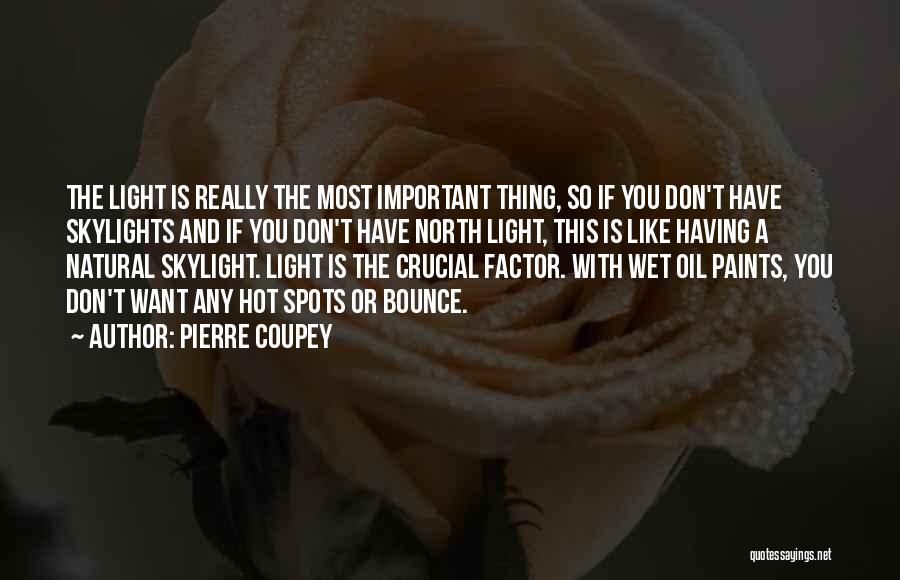 Skylight Quotes By Pierre Coupey