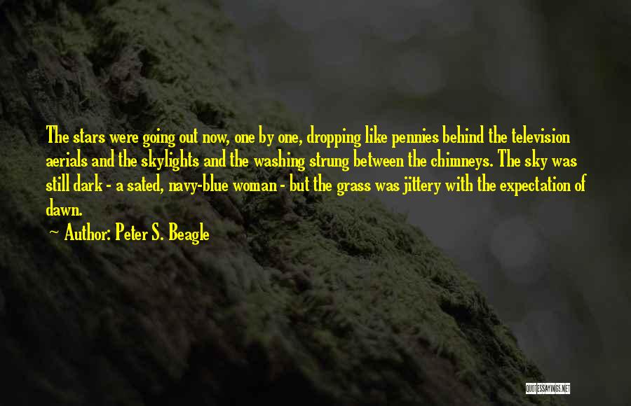 Skylights Quotes By Peter S. Beagle