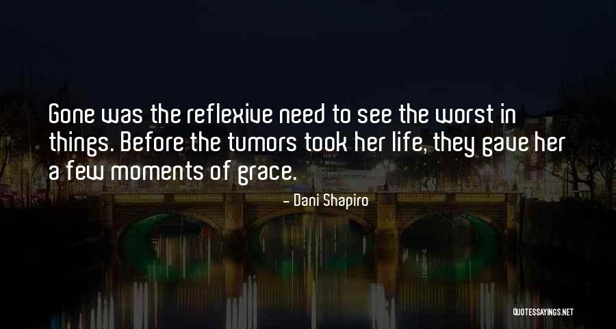 Skype Business Quotes By Dani Shapiro Skype Business Quotes By Dani Shapiro