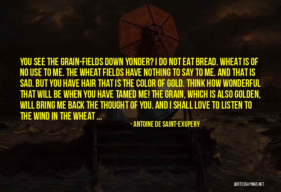Skywalker Trampoline Quotes By Antoine De Saint-Exupery Skywalker Trampoline Quotes By Antoine De Saint-Exupery