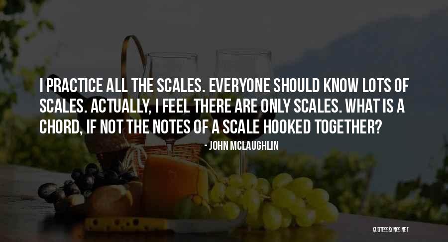 Skywalkers Quotes By John McLaughlin Skywalkers Quotes By John McLaughlin