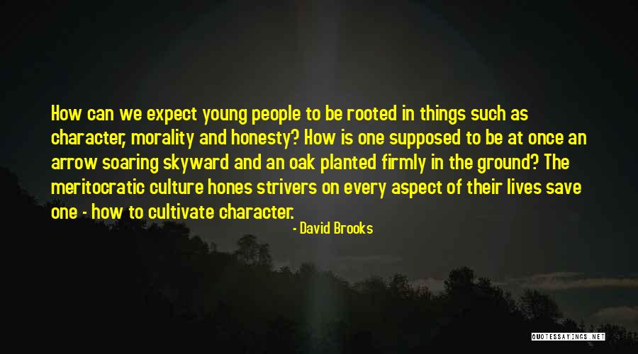 Skyward Quotes By David Brooks Skyward Quotes By David Brooks