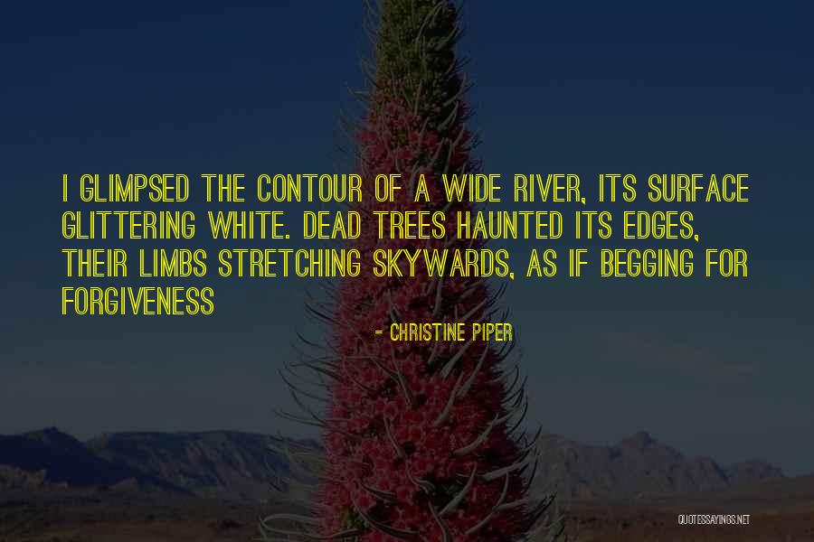 Skywards Quotes By Christine Piper Skywards Quotes By Christine Piper