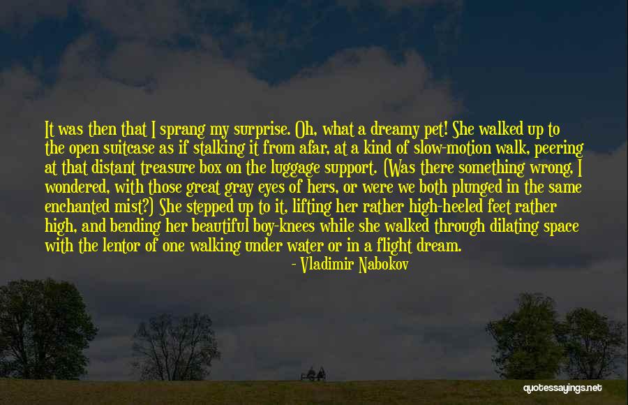 Slacktivism Synonym Quotes By Vladimir Nabokov Slacktivism Synonym Quotes By Vladimir Nabokov