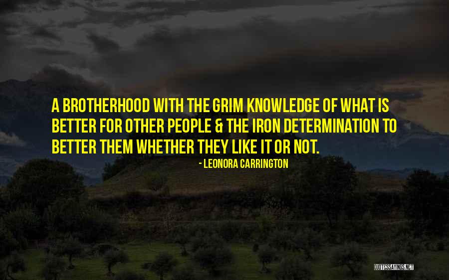 Slacore Quotes By Leonora Carrington Slacore Quotes By Leonora Carrington
