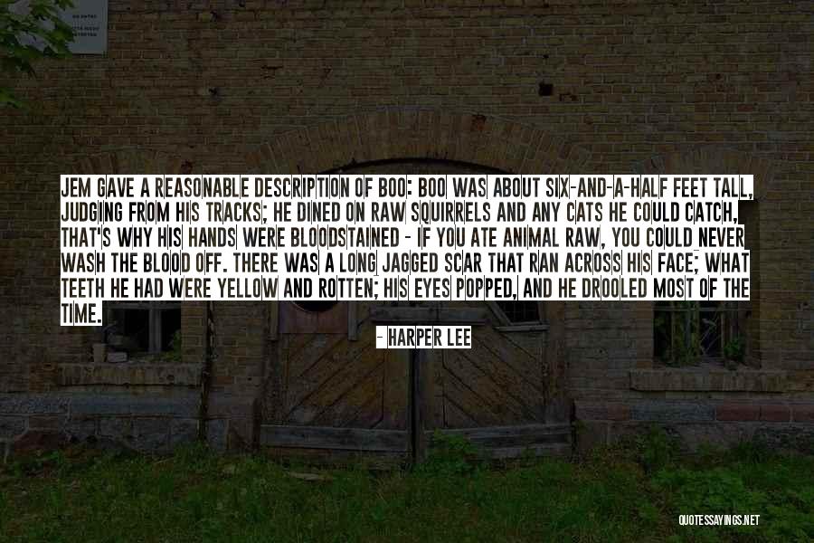Slajmy Quotes By Harper Lee Slajmy Quotes By Harper Lee