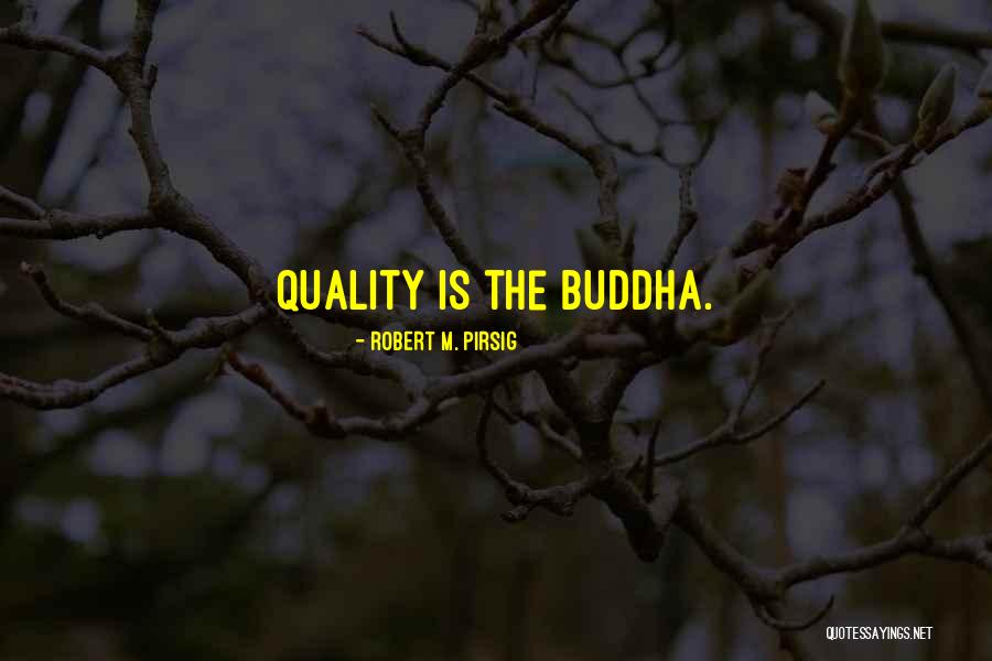 Slanci Youtube Quotes By Robert M. Pirsig