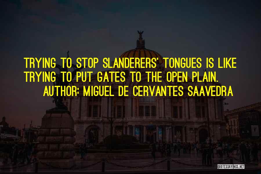 Slanderers Quotes By Miguel De Cervantes Saavedra