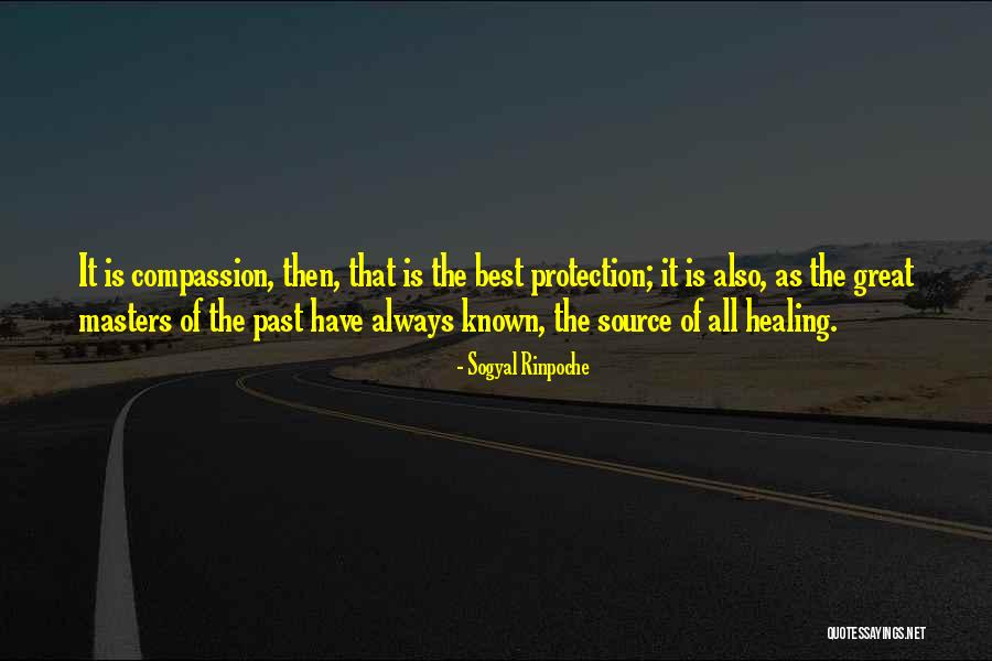Slaney Plumbing Quotes By Sogyal Rinpoche Slaney Plumbing Quotes By Sogyal Rinpoche