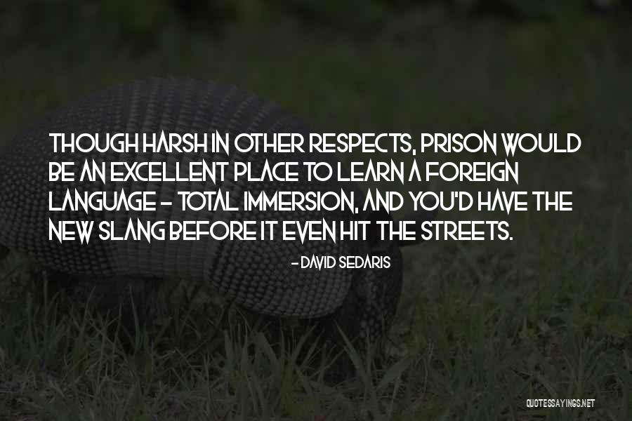 Slang Language Quotes By David Sedaris Slang Language Quotes By David Sedaris