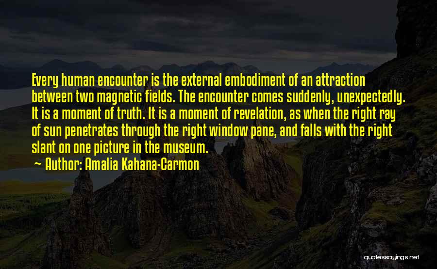 Slant Quotes By Amalia Kahana-Carmon