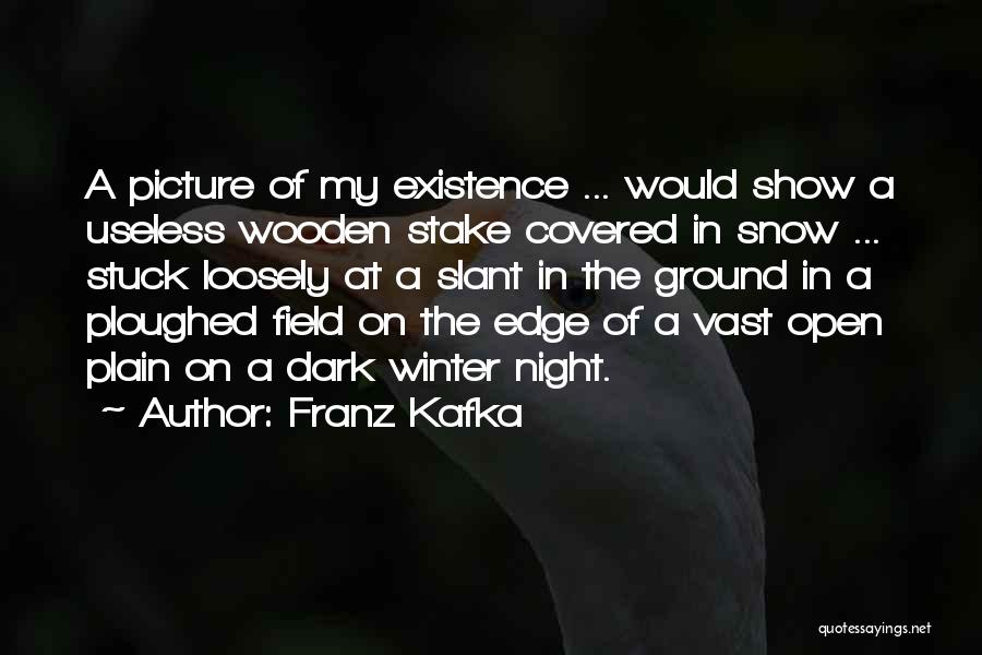 Slant Quotes By Franz Kafka