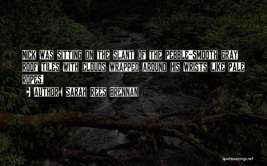 Slant Quotes By Sarah Rees Brennan