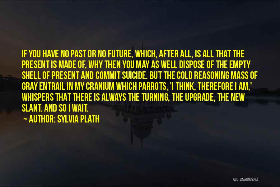 Slant Quotes By Sylvia Plath