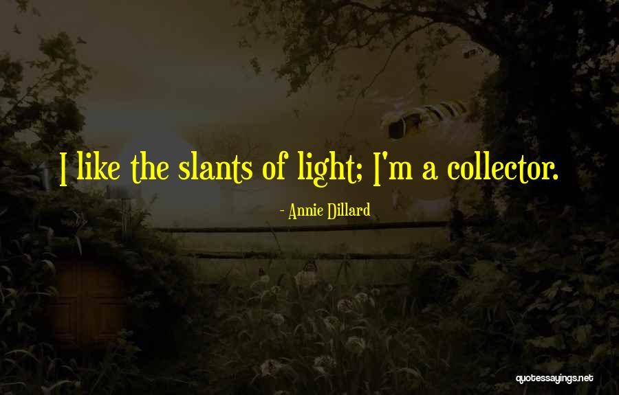 Slants Of Light Quotes By Annie Dillard