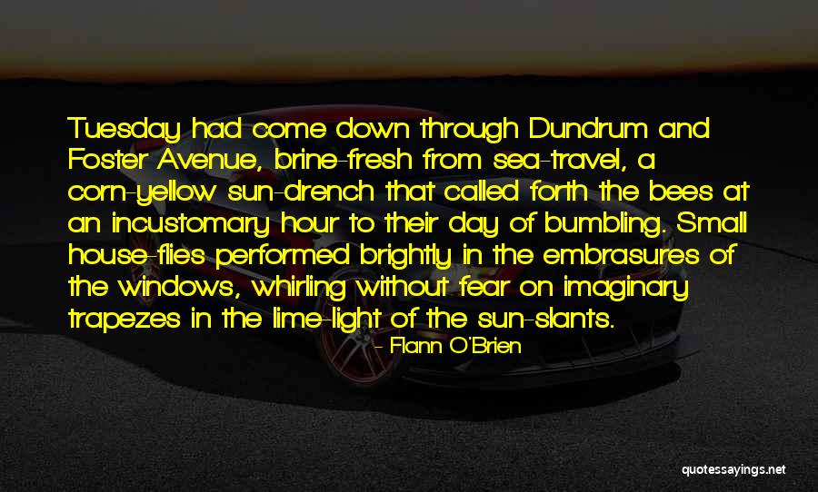Slants Of Light Quotes By Flann O'Brien Slants Of Light Quotes By Flann O'Brien