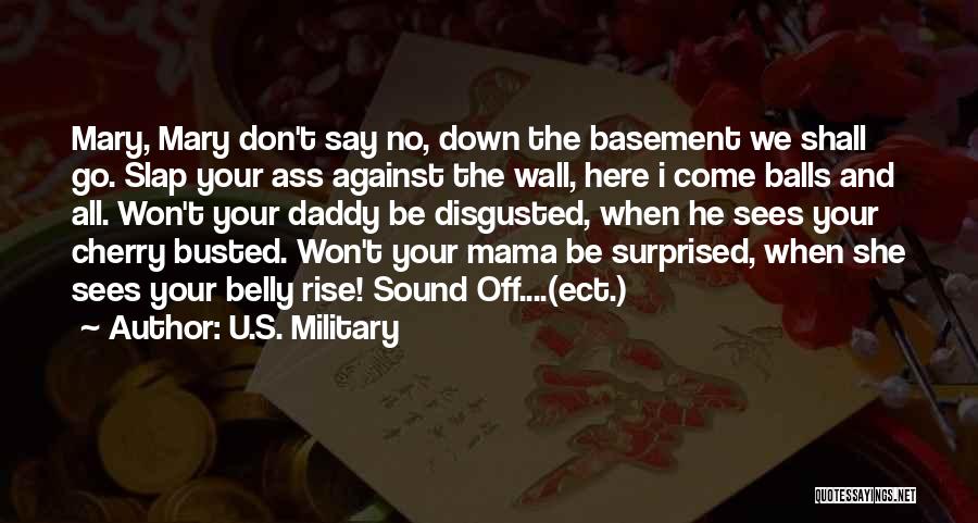 Slap Down Quotes By U.S. Military
