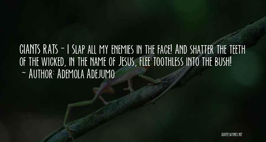 Slap In The Face Quotes By Ademola Adejumo