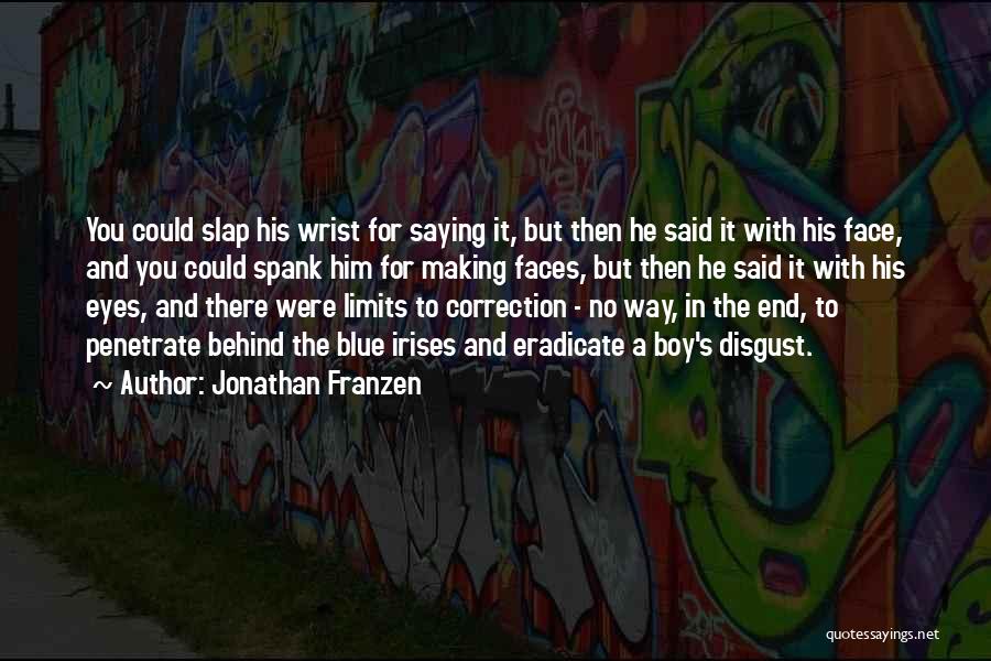 Slap In The Face Quotes By Jonathan Franzen