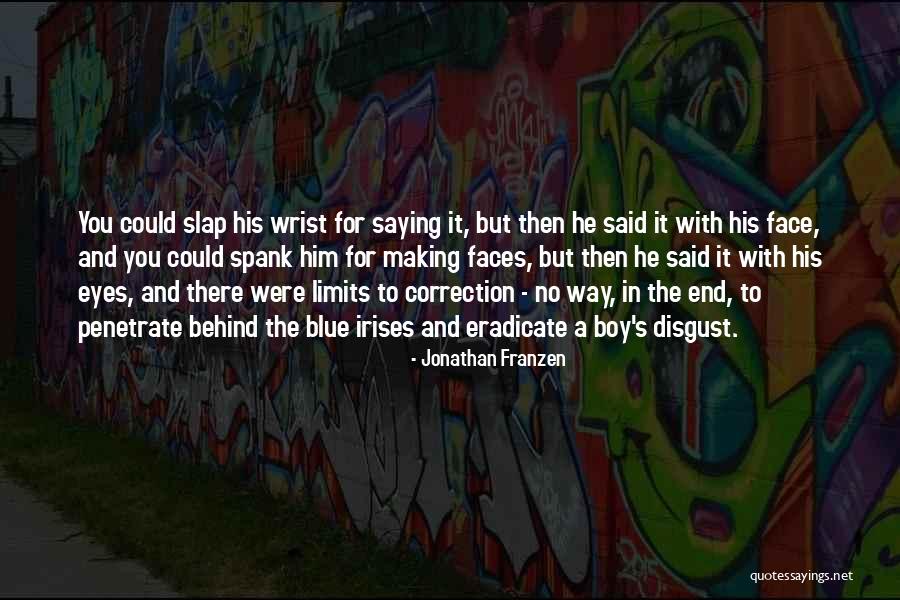 Slap In The Face Quotes By Jonathan Franzen