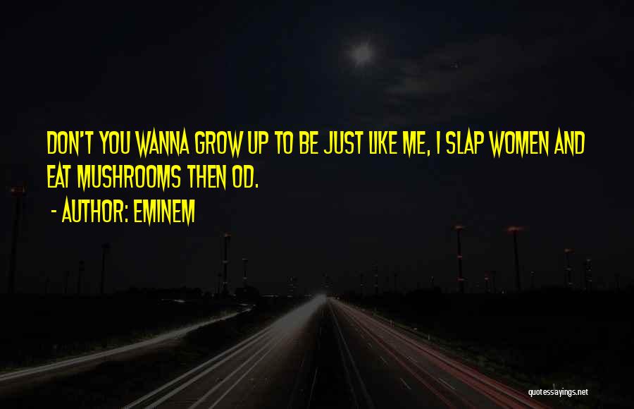 Slap Me Quotes By Eminem