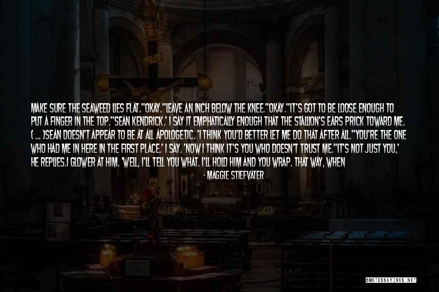 Slap My Knee Quotes By Maggie Stiefvater Slap My Knee Quotes By Maggie Stiefvater