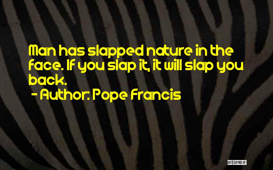 Slap You In The Face Quotes By Pope Francis