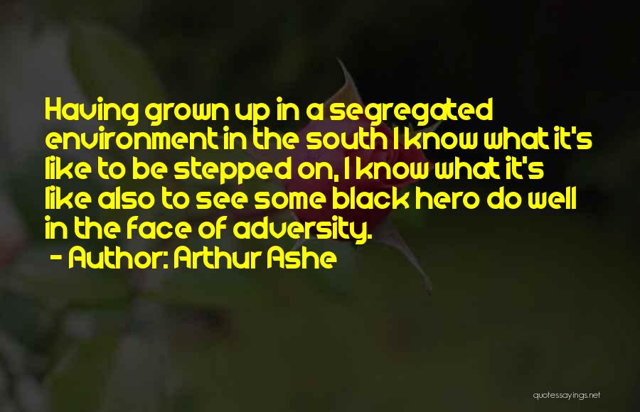 Slapjack Wwe Quotes By Arthur Ashe