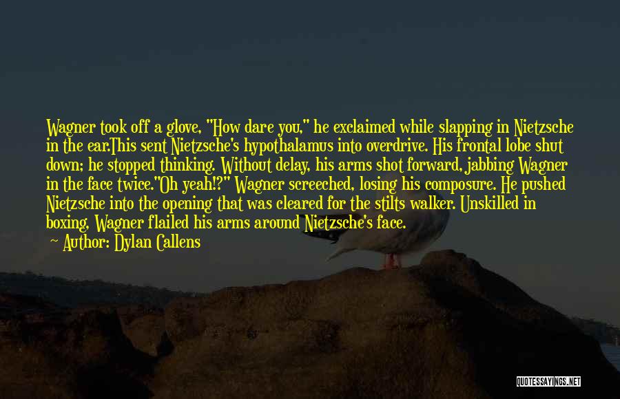 Slapping Someone In The Face Quotes By Dylan Callens