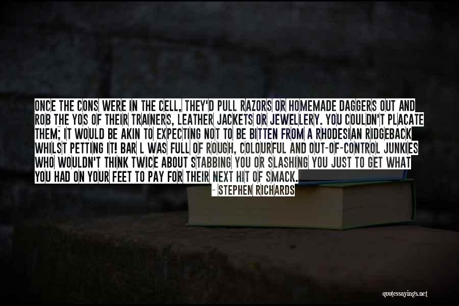 Slashing Quotes By Stephen Richards