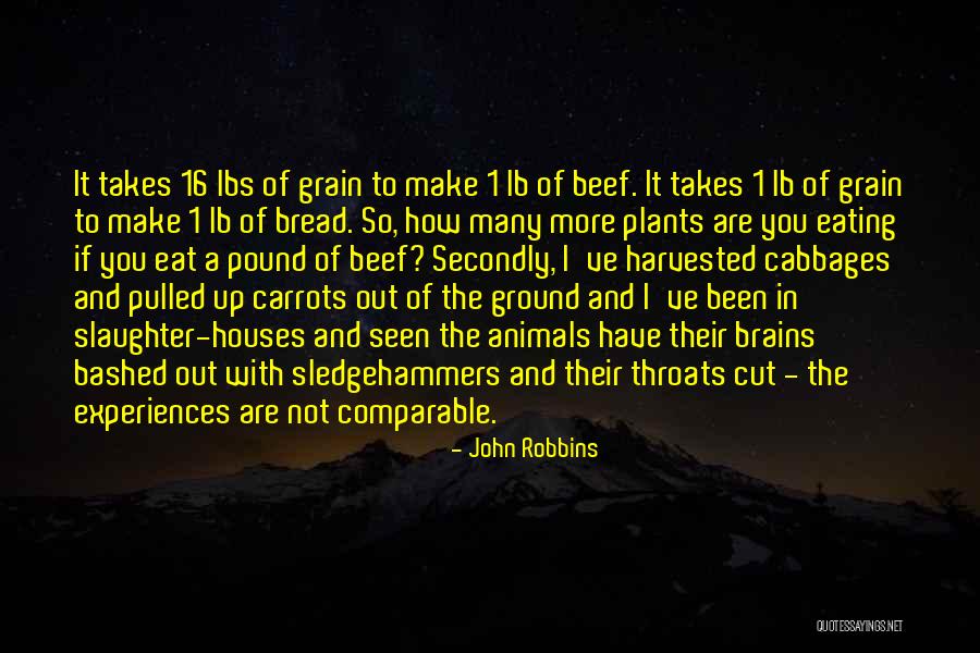 Slaughter House 5 Quotes By John Robbins Slaughter House 5 Quotes By John Robbins