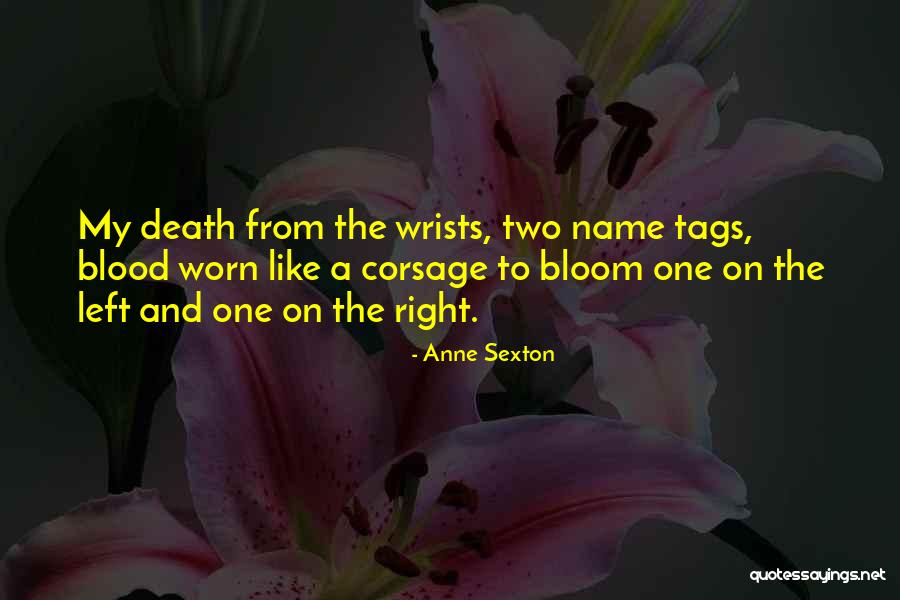 Slavco Popovski Quotes By Anne Sexton Slavco Popovski Quotes By Anne Sexton