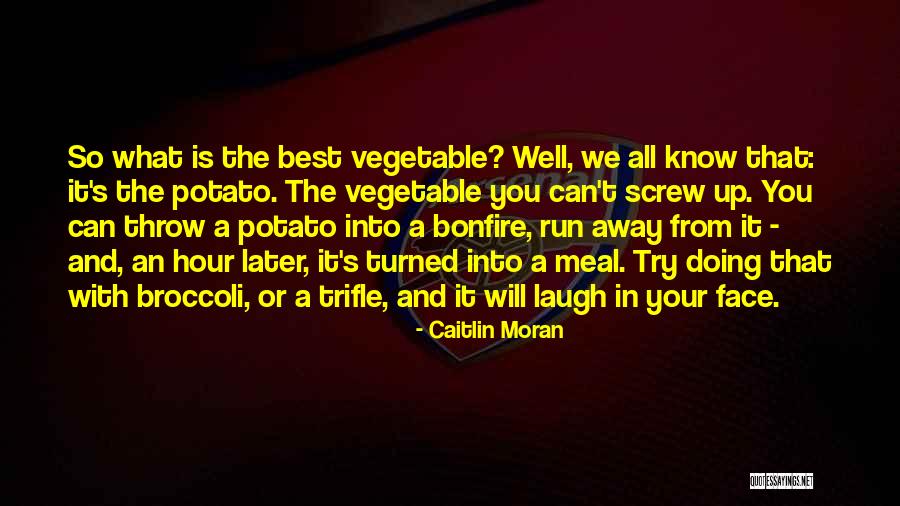 Slave Ana Quotes By Caitlin Moran Slave Ana Quotes By Caitlin Moran