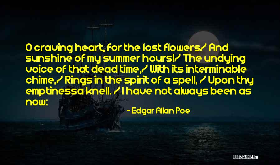 Slave Next Door Quotes By Edgar Allan Poe