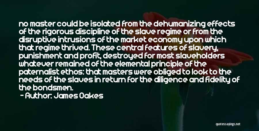 Slave Punishment Quotes By James Oakes